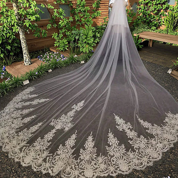 Elegant Lace Applique Edge Bridal Veil with Comb 2 Tier Cover Face Cathedral Length Long Wedding Veil